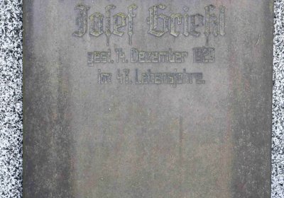 Nová Ves v Horách, Omnium, 2018