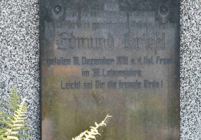 Nová Ves v Horách, Omnium, 2018