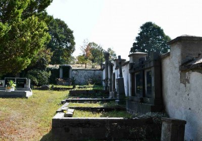 Nová Ves v Horách, Omnium, 2018