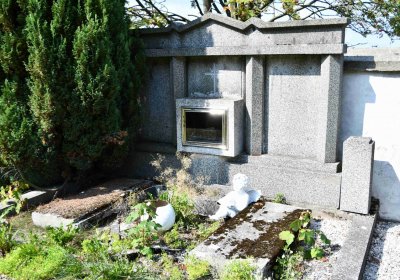 Nová Ves v Horách, Omnium, 2018