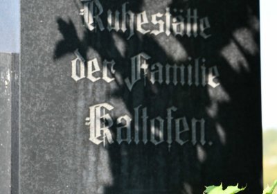 Nová Ves v Horách, Omnium, 2018