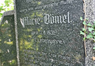 Nová Ves v Horách, Omnium, 2018