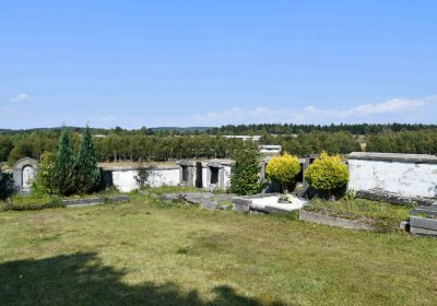 Nová Ves v Horách, Omnium, 2018