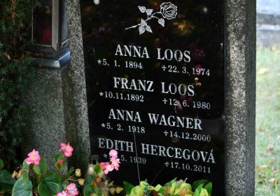 Nová Ves v Horách, Omnium, 2018