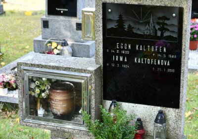 Nová Ves v Horách, Omnium, 2018