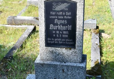 Nová Ves v Horách, Omnium, 2018