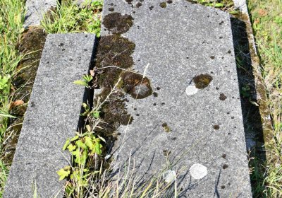 Nová Ves v Horách, Omnium, 2018