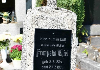 Nová Ves v Horách, Omnium, 2018