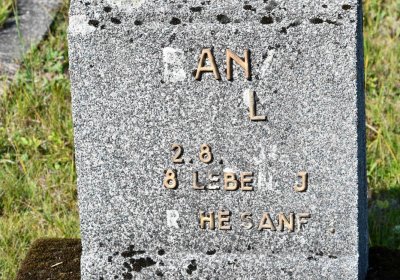 Nová Ves v Horách, Omnium, 2018