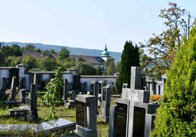 Nová Ves v Horách, Omnium, 2018