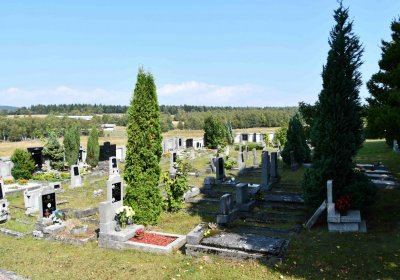 Nová Ves v Horách, Omnium, 2018