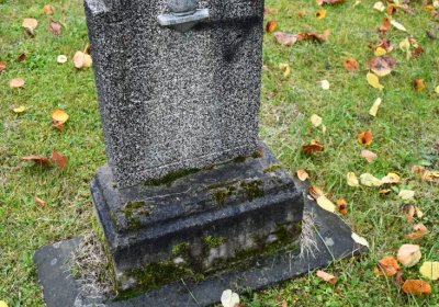 Světec, Omnium, 2020