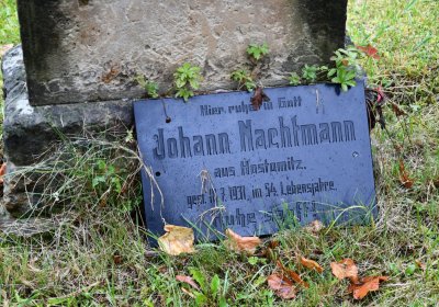 Světec, Omnium, 2020