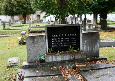 Světec, Omnium, 2020