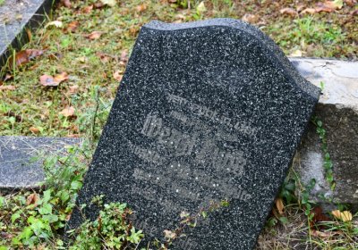 Světec, Omnium, 2020