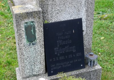 Volevčice, Omnium, 2020