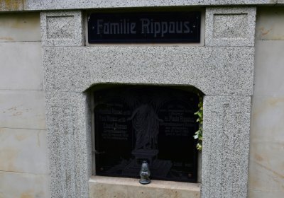 Volevčice, Omnium, 2020