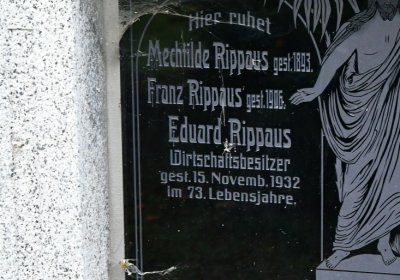 Volevčice, Omnium, 2020