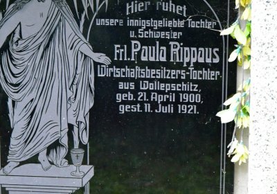 Volevčice, Omnium, 2020