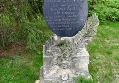 Volevčice, Omnium, 2020