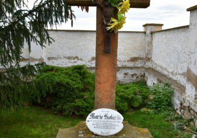 Volevčice, Omnium, 2020