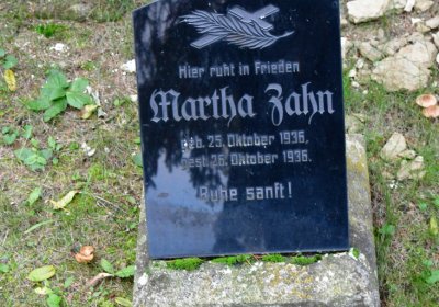 Volevčice, Omnium, 2020