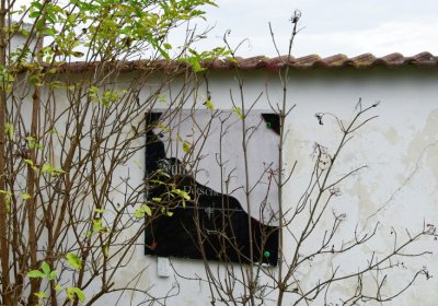 Výškov, Omnium, 2020