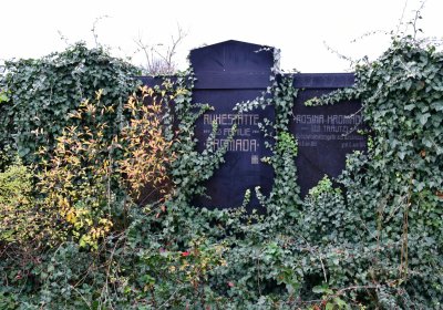 Výškov, Omnium, 2020