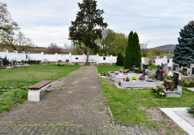 Výškov, Omnium, 2020