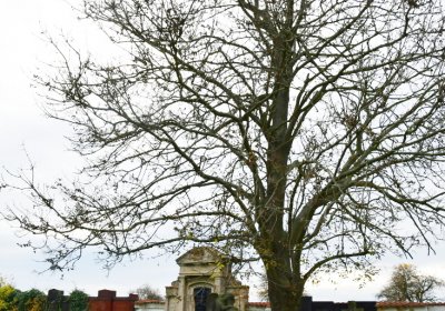 Výškov, Omnium, 2020