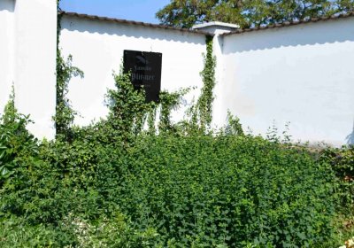 Výškov, Omnium, 2018