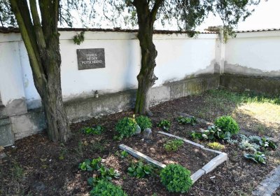 Výškov, Omnium, 2018