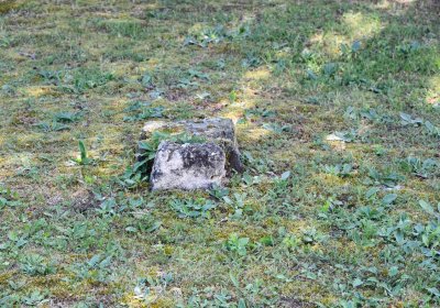 Výškov, Omnium, 2018