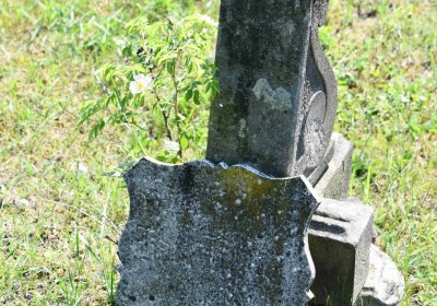 Výškov, Omnium, 2018