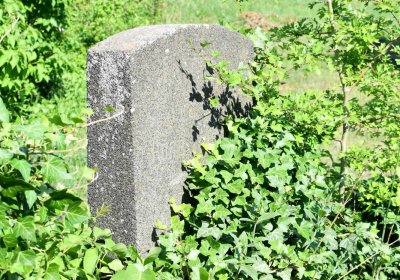 Výškov, Omnium, 2018