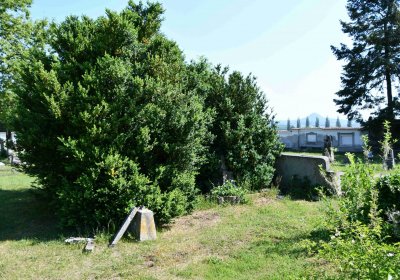 Výškov, Omnium, 2018