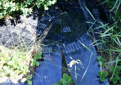 Výškov, Omnium, 2018