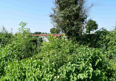 Výškov, Omnium, 2018