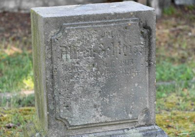 Výškov, Omnium, 2018