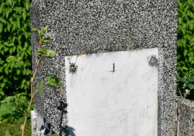 Výškov, Omnium, 2018