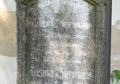 Výškov, Omnium, 2018