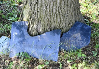 Výškov, Omnium, 2018