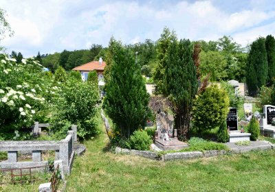 Želenice, Omnium, 2018