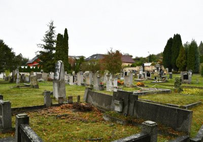 Želenice, Omnium, 2020