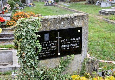 Želenice, Omnium, 2020