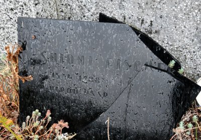 Želenice, Omnium, 2020