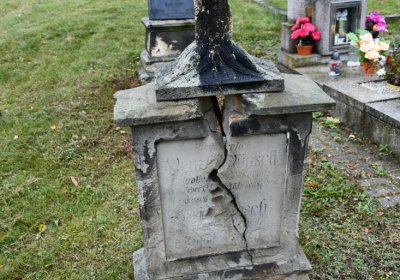 Želenice, Omnium, 2020