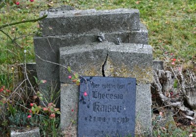 Želenice, Omnium, 2020