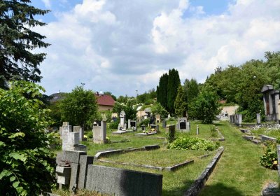 Želenice, Omnium, 2018