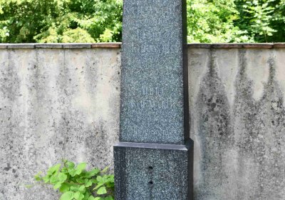 Želenice, Omnium, 2018